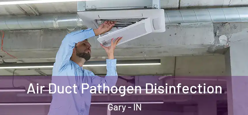 Air Duct Pathogen Disinfection Gary - IN