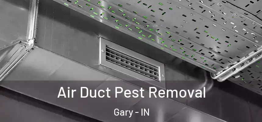  Air Duct Pest Removal Gary - IN