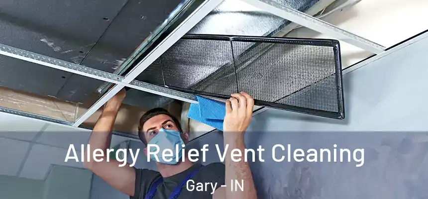  Allergy Relief Vent Cleaning Gary - IN