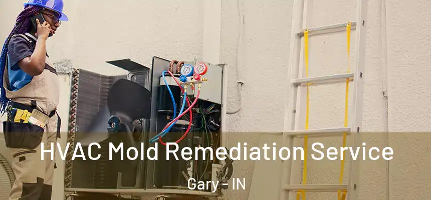  HVAC Mold Remediation Service Gary - IN