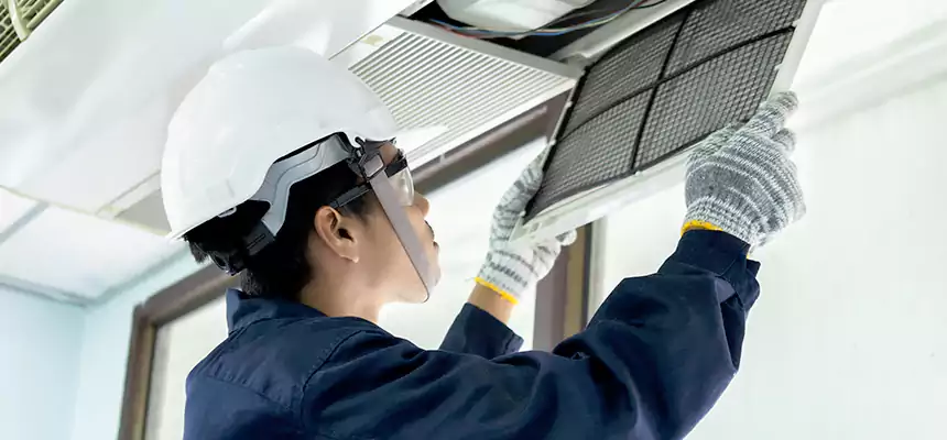 Our Mold & Mildew Removal from Air Ducts Services in Gary, IN