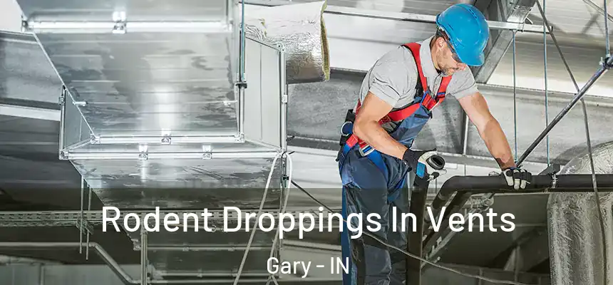 Rodent Droppings In Vents Gary - IN