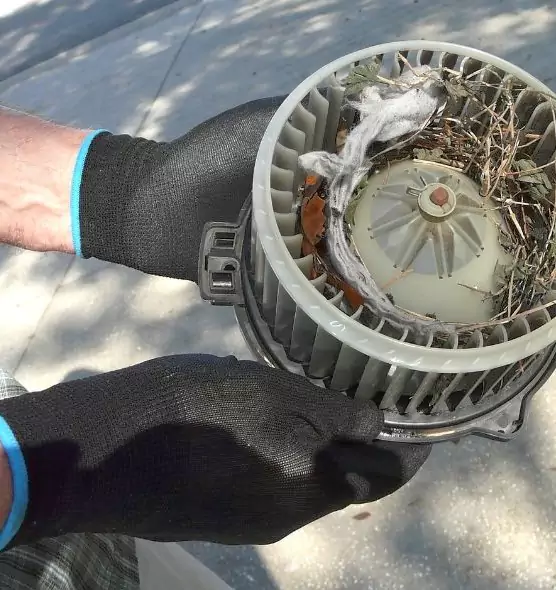 About Air Duct Mice Removal in Gary, IN