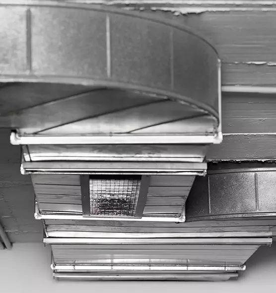 Professional Air Duct Pest Removal in Gary, IN