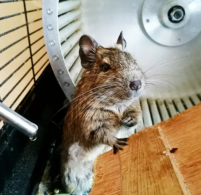 Why Homeowners & Businesses Trust Us Gary, IN?