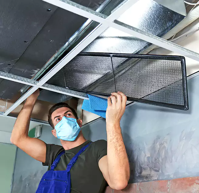 Why Homeowners Businesses Trust Us in Gary, IN